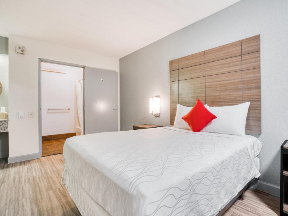 Single Room - Disability Access interior